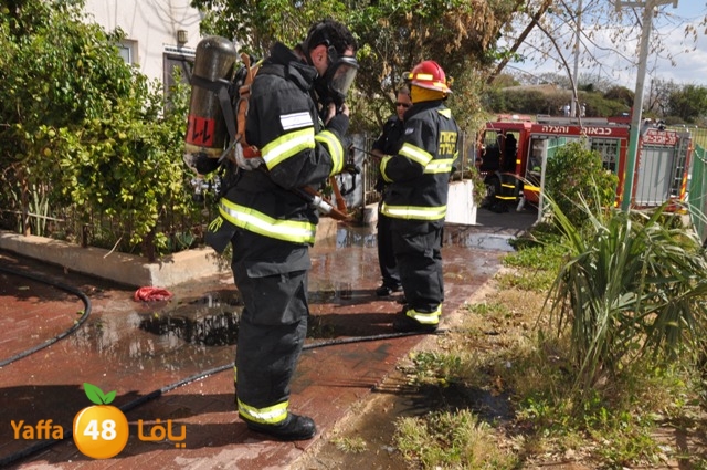 fireshekonatelarab (20).JPG